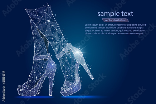 women's legs in shoes, high heels.abstract design ,logo isolated from low poly wireframe on space background. Vector abstract polygonal image mash line and stars. Digital graphics illustration.