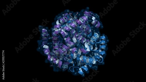 Hemoglobin molecule, rotating model with semi-transparent surface, seamless loop photo