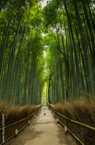 Fototapeta Naklejka Na Ścianę i Meble -  Woman at the Bamboo forest, Japan