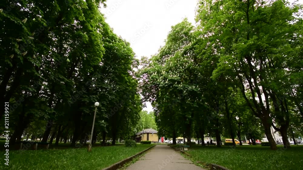 View of the cross alley in the university park with phonory, benches and a road in the foothill park of the Caucasus of the city of Nalchik