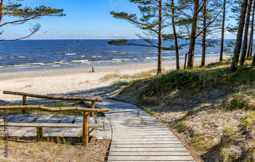 Captivating marine landscape at forestry sandy beach, Baltic Sea, Europe photo