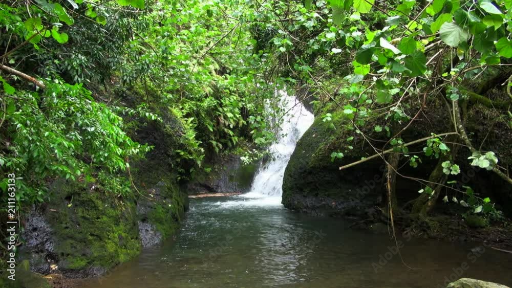 Still: Free Flowing Falls Seen at Rarotonga, Cook Islands Still: Free Flowing Falls Seen at Rarotonga, Cook Islands