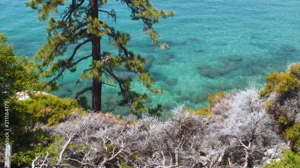Zoom-In: Small, Clear Bay in Lake Tahoe Zoom-In: Small, Clear Bay in Lake Tahoe