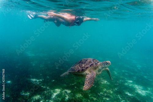 junges mädchen in bikini mit schnorchelmaske beobachtet schwimmende meeresschildkröte
