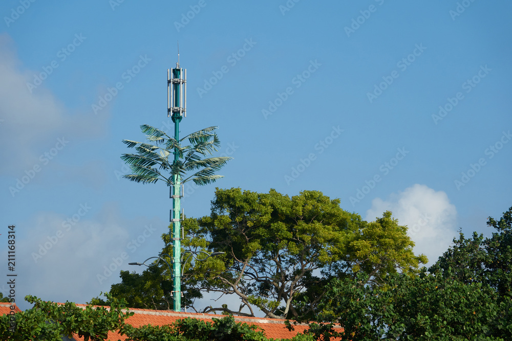 Obraz premium Cellular tower among the trees on the island