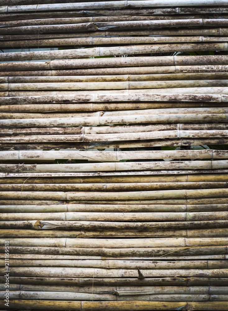 Fototapeta premium wall made of bamboo cane
