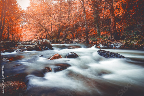 RIVER IN AUTUMN photo