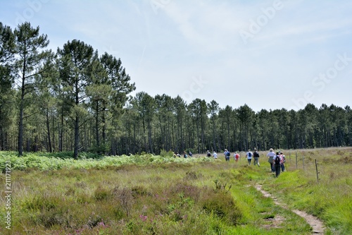 Groupe de randonneurs sur le sentier de la vallée du Trieux en Bretagne