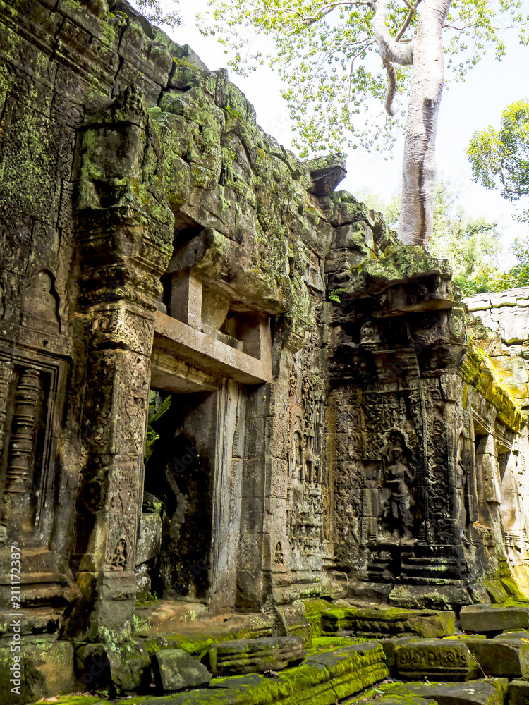 Fototapeta premium Giant tree roots covering Ta Prom temple, Siem Reap, Cambodia, landmark in Siem Reap, Cambodia. Angkor Wat inscribed on the UNESCO World Heritage List. Archaeological enclosure. 