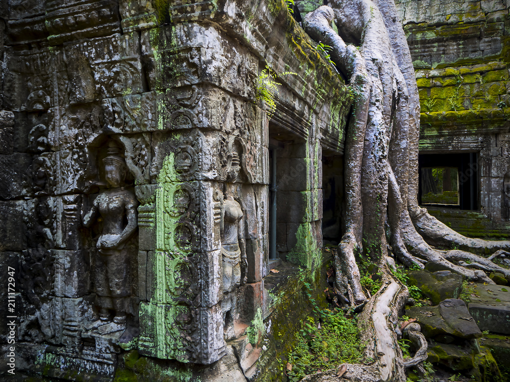 Giant tree roots covering Ta Prom temple, Siem Reap, Cambodia, landmark in Siem Reap, Cambodia. Angkor Wat inscribed on the UNESCO World Heritage List. Archaeological enclosure. Giant tree roots covering Ta Prom temple, Siem Reap, Cambodia, landmark in Siem Reap, Cambodia. Angkor Wat inscribed on the UNESCO World Heritage List. Archaeological enclosure.