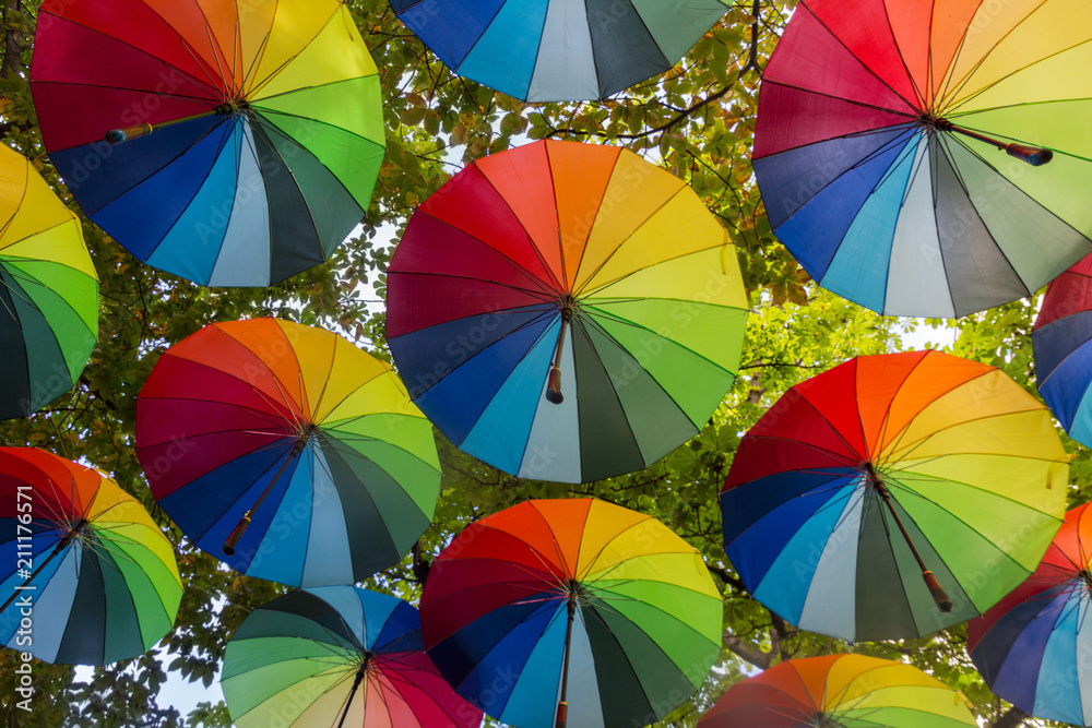 Rainbow Umbrellas for Pride