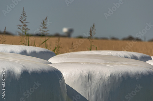 Silaged Wrapped Hay photo