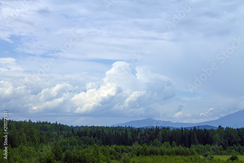 landscape blue clouds over coniferous forest, hills on the horizon