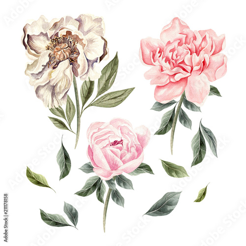 Beautiful Watercolor set with peony flowers.