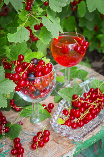 Fresh juicy berry red currant in a glass bowl in a garden on a table in the background of bushes with berries in a summer day with copy space