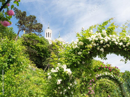 Jardin du Rosaire, Lyon, France. It's a great place for the whole family to visit. The fresh breeze and calming green colors provide a relaxing atmosphere