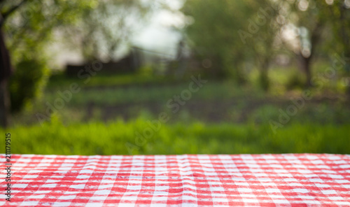 picnic table in the garden - summertime