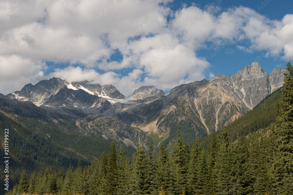 Rocky mountains peaks with woods
