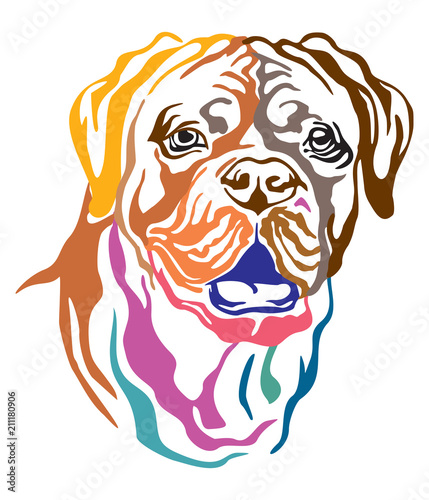 Colorful decorative portrait of Dog Dogue de Bordeaux vector illustration