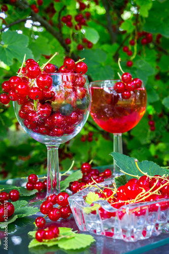 Fresh juicy berry red currant in a glass bowl in a garden on a table in the background of bushes with berries in a summer day with copy space