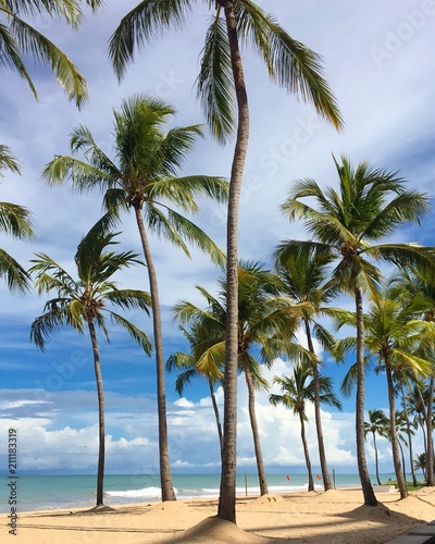 Praia de Recife 