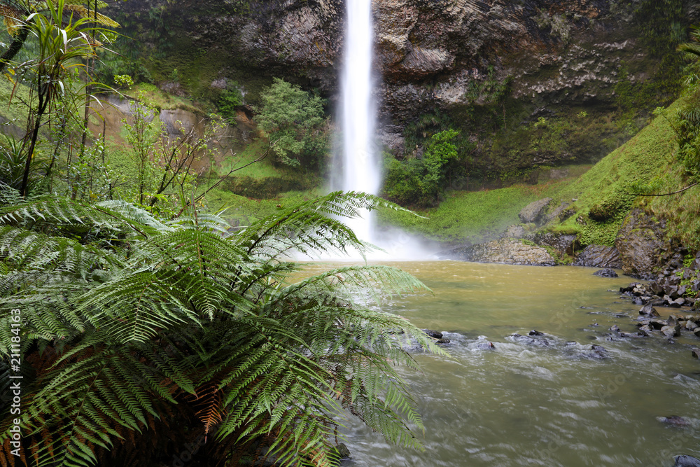 Fototapeta premium Waterfall. New Zealand