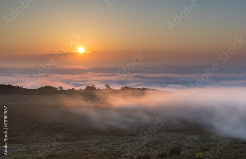 sun, fog and horses on the mountain!