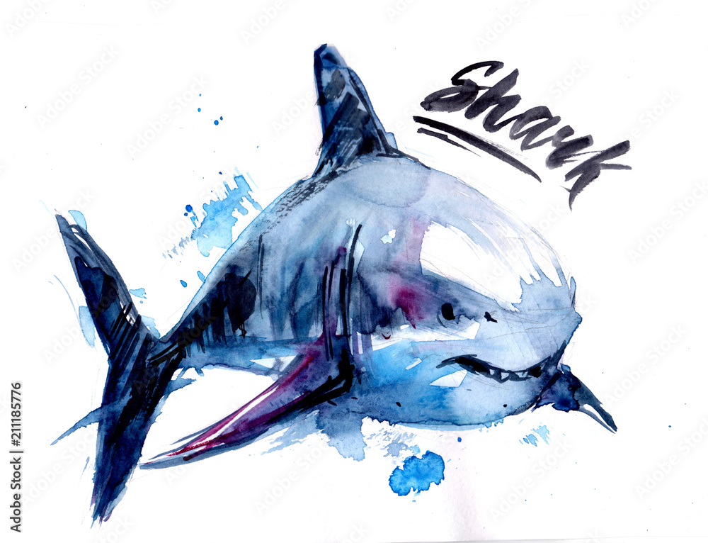 Fototapeta premium Watercolor shark