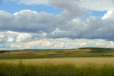 Rolling green hills with dramatic clouds in the agricultural heart of Spain, near Salamanca