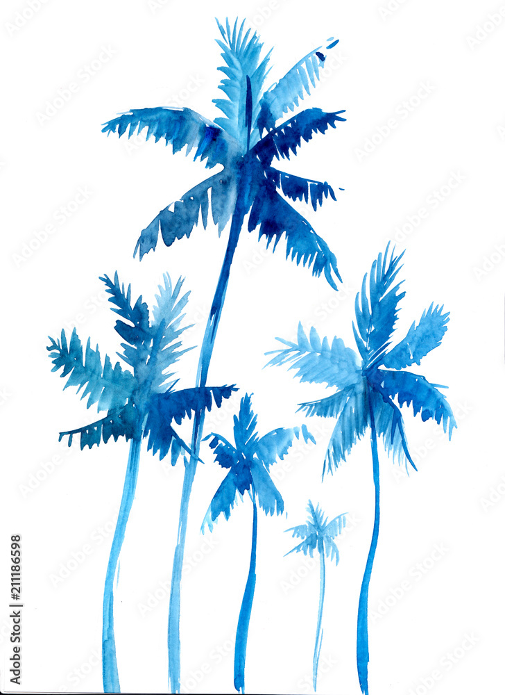 Fototapeta premium Palm trees