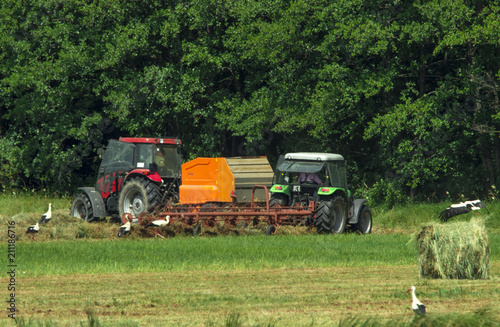 Summer farm work in the field.