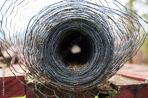 Looking through a roll of chicken wire laying on a red picnic table photo