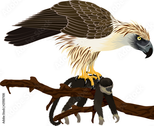 vector philippine Eagle - Pithecophaga jefferyil with monkey photo