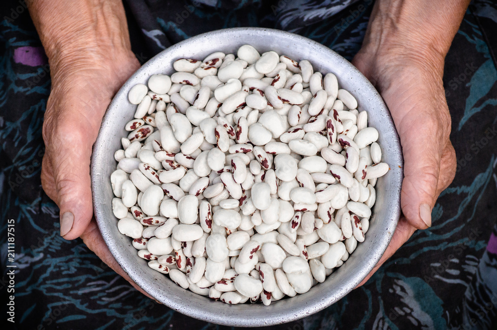 Kidney beans. White kidney beans with red spots in the hands of