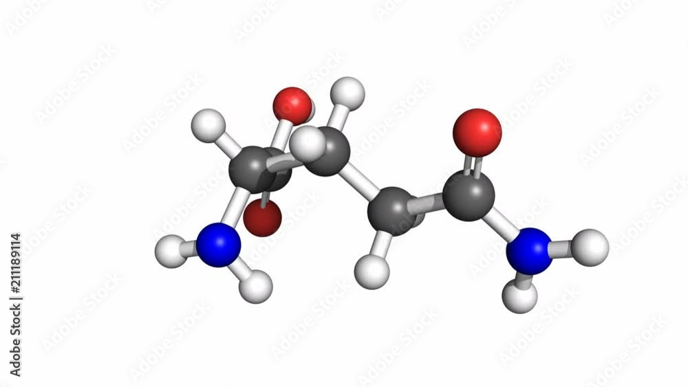 Glutamine molecule, rotating ball-and-stick model, seamless loop Glutamine molecule, rotating ball-and-stick model, seamless loop
