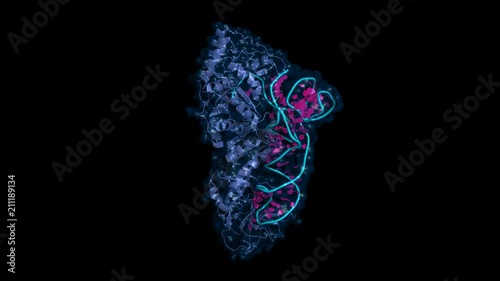 Glutaminyl-tRNA synthetase bound to tRNA, rotating cartoon model with semi-transparent surface, seamless loop