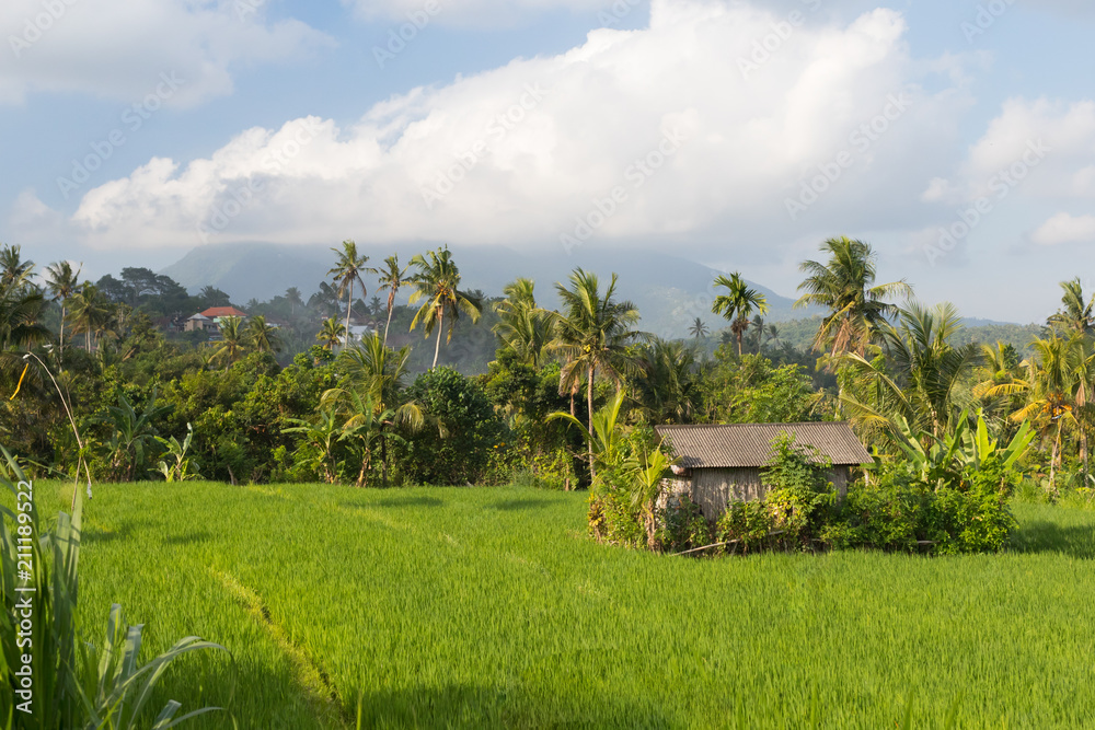 A house and a rice field in the background of a volcano and clouds on the island of Bali in Indonesia A house and a rice field in the background of a volcano and clouds on the island of Bali in Indonesia