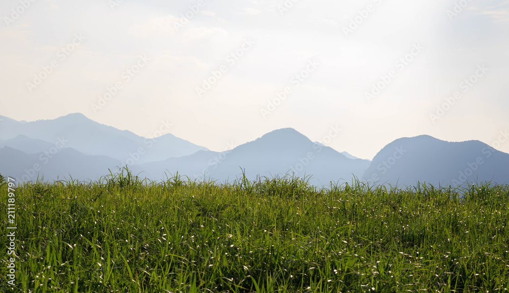 Green grass with distant mountains on sunny day