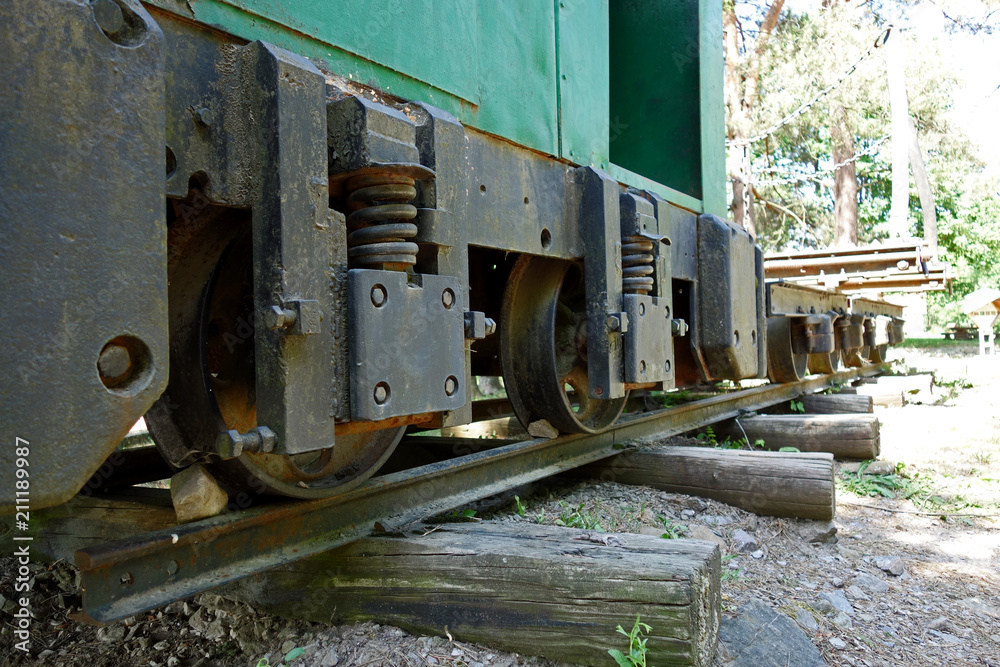 Narrow track, forest train