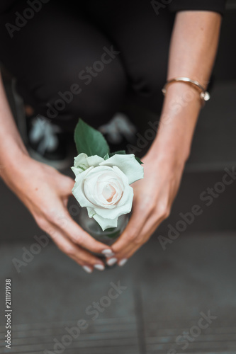 Woman s hands holding vase with one white rose flower. Donation  health care  giving concept. Dark background