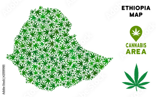 Cannabis Ethiopia map mosaic of marijuana leaves. Narcotic distribution concept. Vector Ethiopia map is created with green cannabis leaves. Abstract geographic scheme in green color tints.