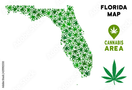 Ganja Florida map mosaic of marijuana leaves. Narcotic distribution template. Vector Florida map is formed of green cannabis leaves. Abstract territory scheme in green color hues.