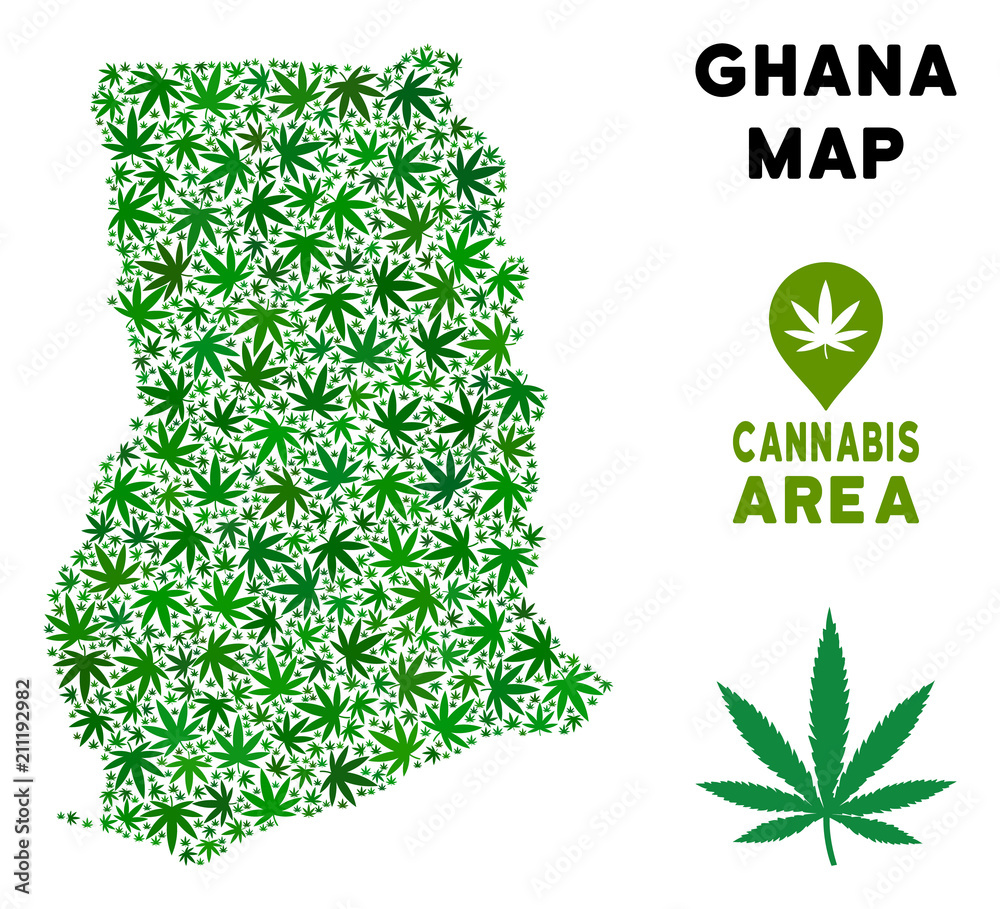Cannabis Ghana map composition of marijuana leaves. Narcotic distribution template. Vector Ghana