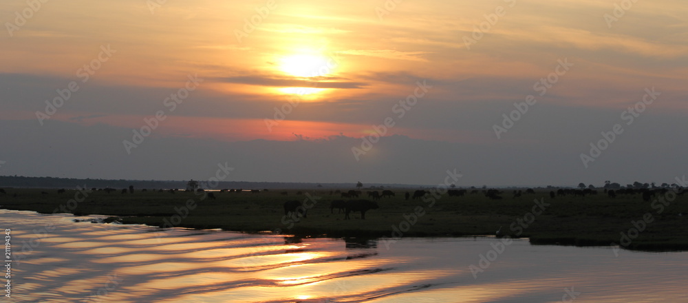 Sunset over Etosha national park Namibia Sunset over Etosha national park Namibia