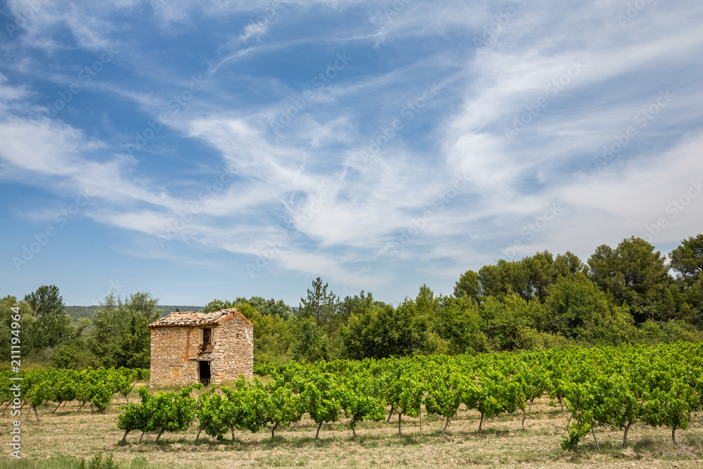 A stone cabanon, or workers hut, in a vineyard in Provence