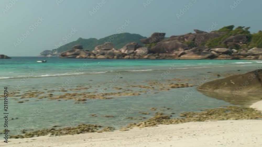 Woman Walking in Shallow Reef Woman Walking in Shallow Reef