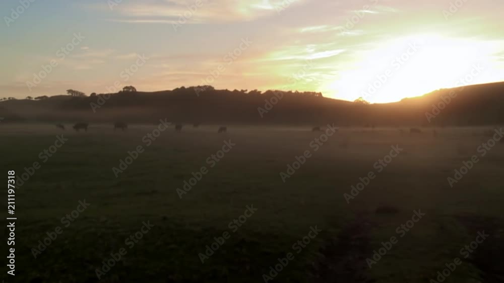 Amazing Vista Before Dawn Amazing Vista Before Dawn