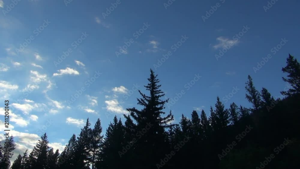 Time Lapse Shot of Sky and Trees of Wyoming Jackson Time Lapse Shot of Sky and Trees of Wyoming Jackson