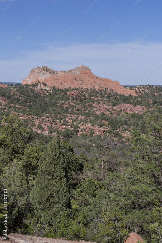 Garden of the Gods landscape with trees