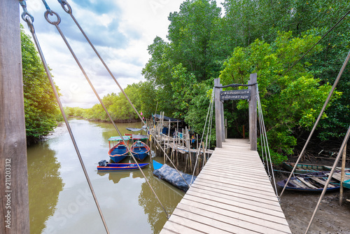 Mangroves inTung Prong Thong or Golden Mangrove Field at Estuary Pra Sae, Rayong, Thailand photo